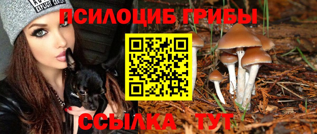 Галлюциногенные грибы мицелий Братск